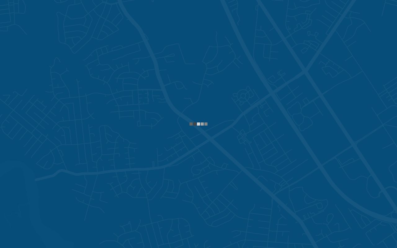 Newport News neighbor parcels shown through adjacent geometry in GIS